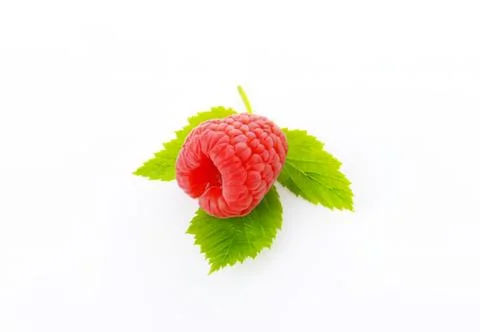Fresh red raspberry with green leaves Stock Photos