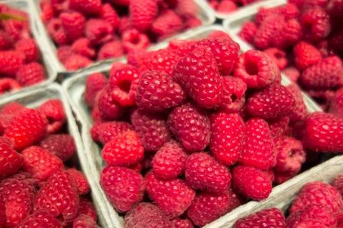 Fresh red raspberry 스톡 사진