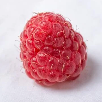 Fresh red raspberry on white background. Close up. Stock Photos