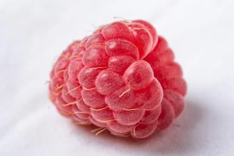 Fresh red raspberry on white background. Close up. Foto stock