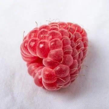 Fresh red raspberry on white background. Close up. Foto stock