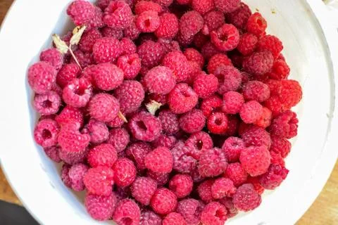 Fresh red raspberry in white bucket bright Stock Photos