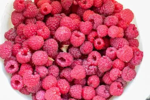 Fresh red raspberry in white bucket with leaves Stock Photos