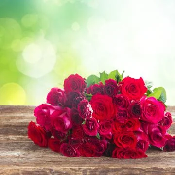 Fresh red roses 스톡 사진