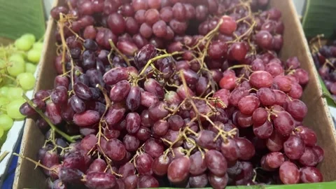 Fresh red seedless grapes in close-up on shelf rack Stock Footage 312855401