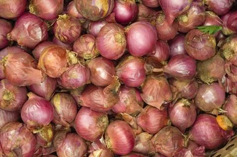 Fresh red shallots create a richly textured natural pattern in a traditiona.. Stock Photos
