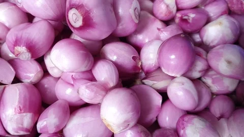Fresh red shallots, ready to cooked, asian food herbs ingredient Stock Footage 259135159