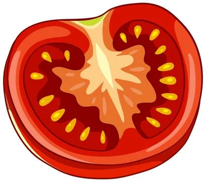 Fresh Red Sliced Tomato Vector Illustration Isolated on White Background Stock Illustration