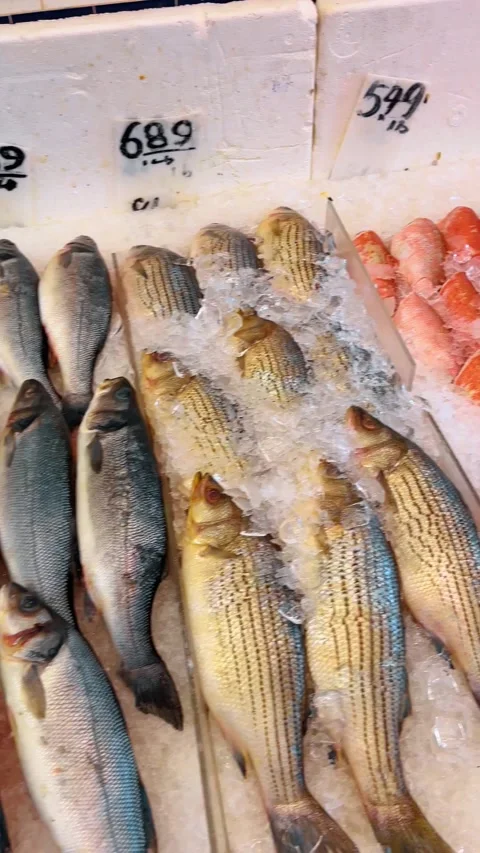 Fresh red snapper fish displayed on ice at market Stock Footage 331600503