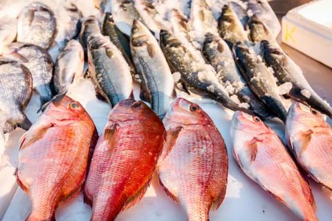 Fresh red snapper fish on Ice at outdoor fish flea market Stock Photos