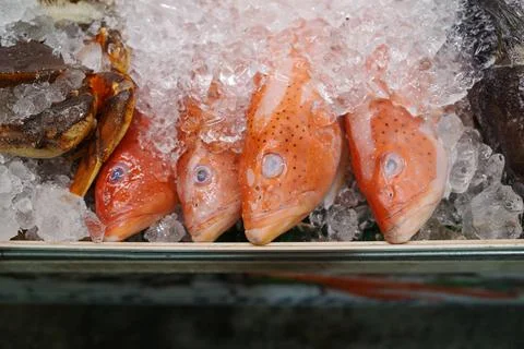 Fresh red snapper fish nestled in ice at market stall Stock Photos