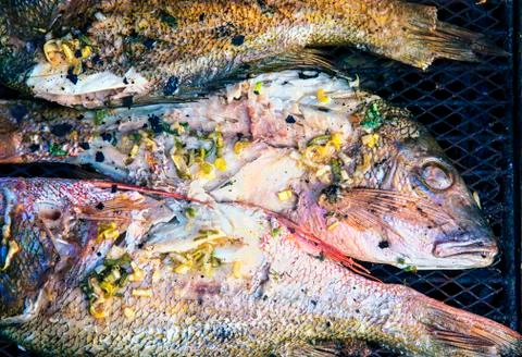 Fresh red snapper on the grill Stock Photos