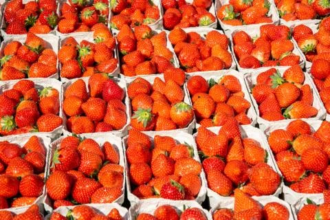 Fresh red strawberries Stock Photos