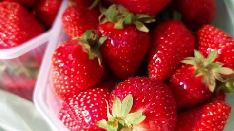 Fresh Red Strawberries in Transparent Plastic Container at Market Stock-Footage 339085866