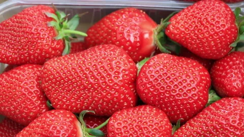 Fresh red strawberry Vídeo Stock 85747214
