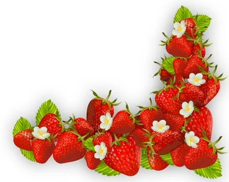 Fresh red strawberry frame Stock Illustration