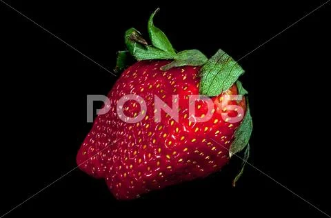 Fresh red strawberry isolated on a black background Stock Photos