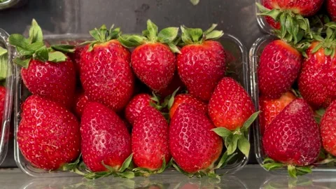 Fresh red strawberry in a transparent container for sale on the supermarket Stock Footage 316464864