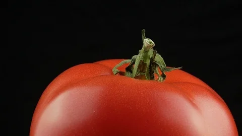 Fresh red tomato green stem Video stock 102181337