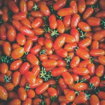 Fresh red tomato Stock Photos