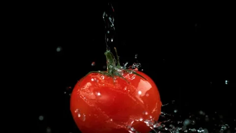 Fresh red tomato under running water dynamic motion shot against black back.. Stock Footage 327573755