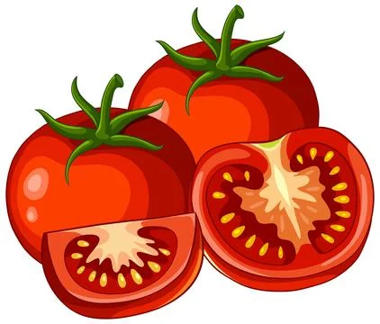 Fresh Red Tomato Vector Illustration with Whole and Sliced Pieces Stock Illustration