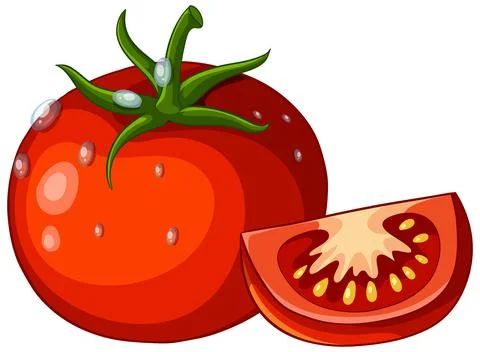 Fresh Red Tomato Vector Illustration with Sliced Wedge and Water Droplets Illustrazione stock