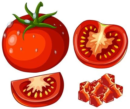 Fresh Red Tomato Vector Illustration with Slices and Diced Cubes Stock Illustration