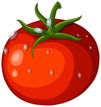 Fresh Red Tomato Vector Illustration with Green Stem and Water Droplets Stockillustratie