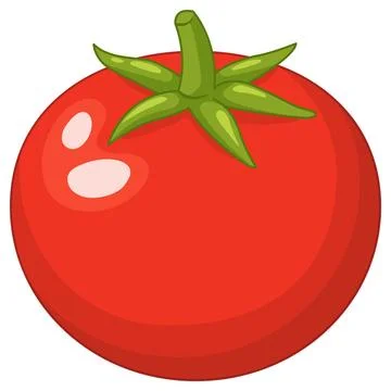 Fresh Red Tomato Vector Illustration with Green Stem on White Background Stock Illustration