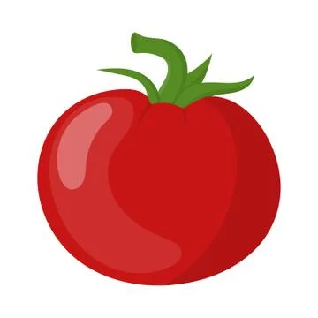 Fresh Red Tomato Vegetable isolated on white background. Vector illustration. Stock Illustration