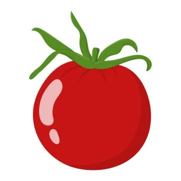 Fresh Red Tomato Vegetable isolated on white background. TVector illustration. Stock Illustration