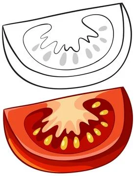 Fresh Red Tomato Wedge Vector Illustration with Line Art Version Stock Illustration