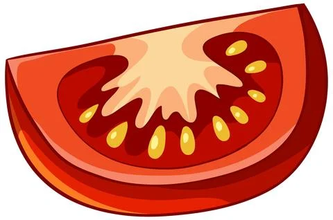 Fresh Red Tomato Wedge Vector Illustration Isolated on White Background Stock Illustration