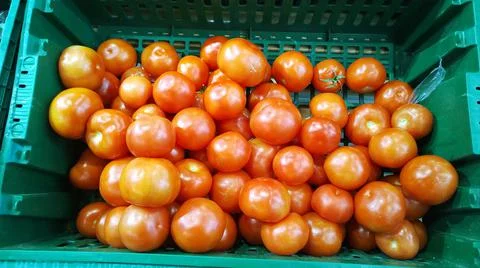 Fresh red tomatoes in boxes. Vegetables in local farmers market Stock Photos