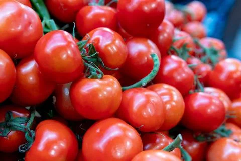 Fresh Red Tomatoes Close Up Stock Photos