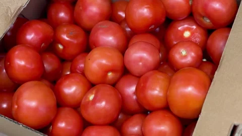 Fresh red tomatoes in container baskets, offered for sale at the supermarkets Vidéo 316372114