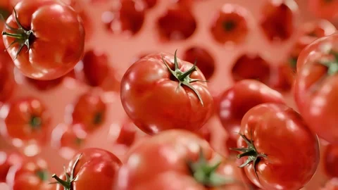 Fresh red tomatoes falling and floating in the air Stock Footage 329562437