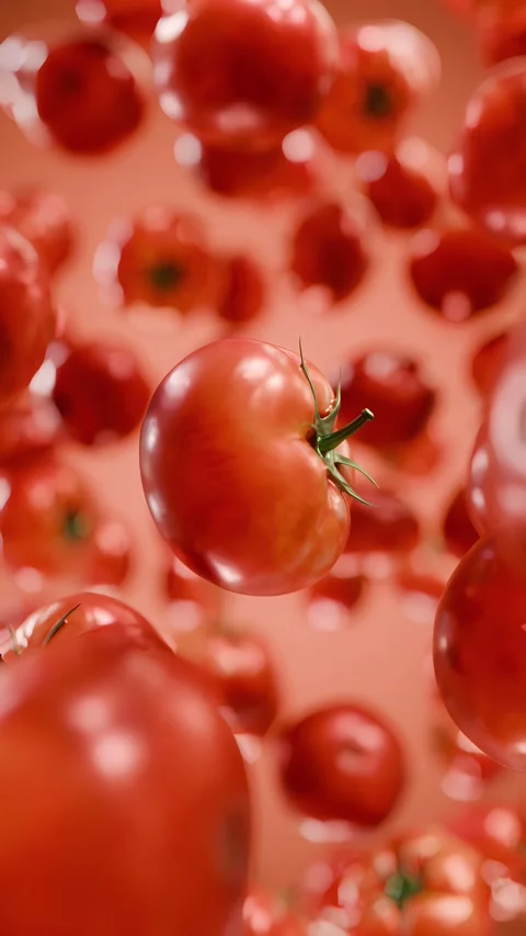 Fresh red tomatoes falling and floating in the air Stock Footage 329562439