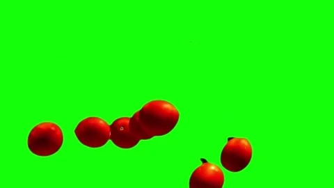Fresh Red Tomatoes Falling and Bouncing on Green Screen Background Loop Stock Footage 340635605