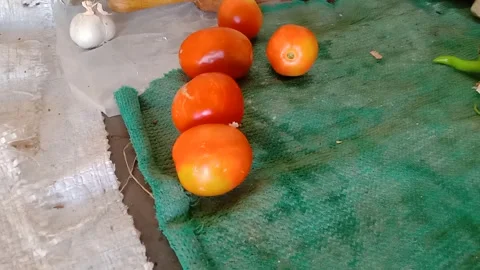 Fresh Red Tomatoes in a kitchen Video stock 346990493