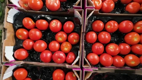 Fresh red tomatoes packaged in black plastic trays for market sale. 動画素材 323884982