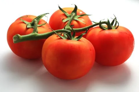 Fresh red tomatoes Stock Photos