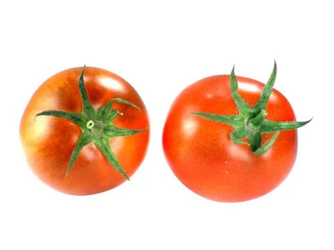 Fresh Red tomatoes Stock Photos