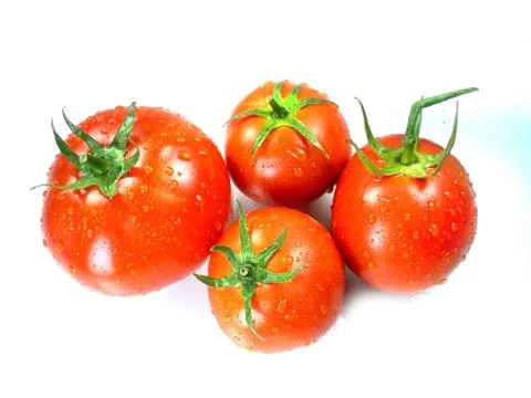 Fresh Red tomatoes Stock Photos