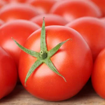 Fresh red tomatoes Stock Photos