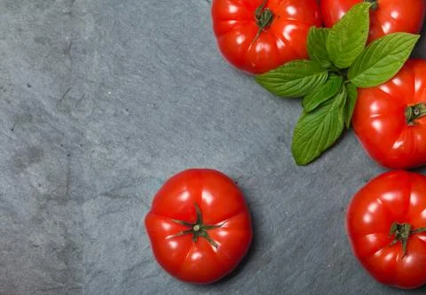 Fresh red tomatoes Stock Photos