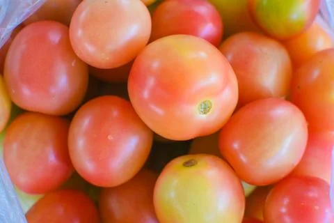 Fresh red tomatoes Stock Photos