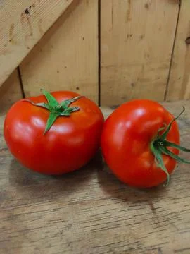 Fresh red tomatoes Stock Photos