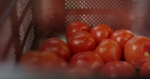 Fresh Red Tomatoes Piled in Perforated Metal Basket, Washed Produce, Close Up Vídeo Stock 340365380